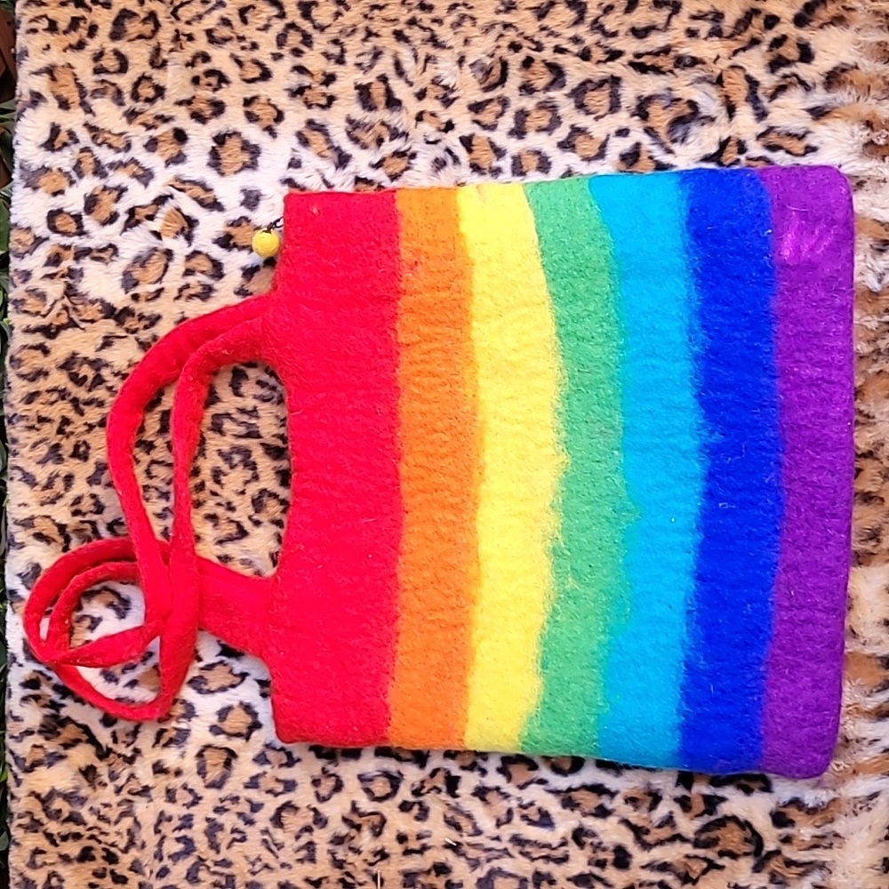 Vibrant Rainbow Purse